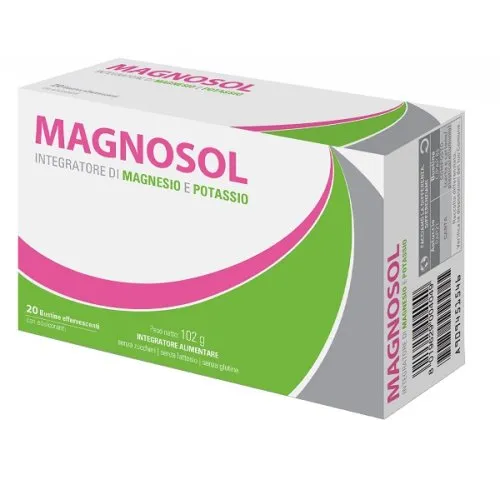 MAGNOSOL*20 BS EFF. 2,7 G