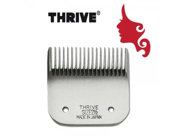 TESTINA THRIVE 808 2 1/2