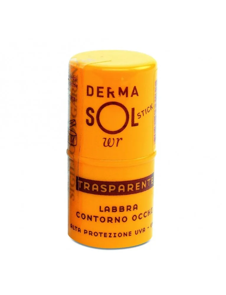 Dermasol Wr Stick Trasp A/prot