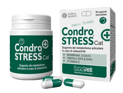 CONDROSTRESS + CAT 30 CAPSULE MONODOSE